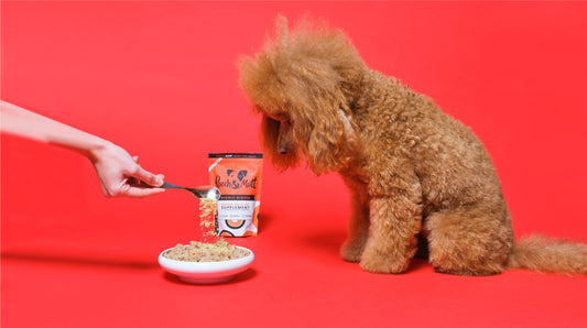 A guide to probiotics, from Pooch&Mutt