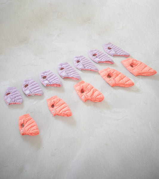 Puffer Jacket Restock