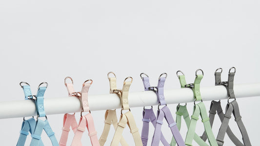 A New Collection of City Harnesses by Barc London - Launching Soon