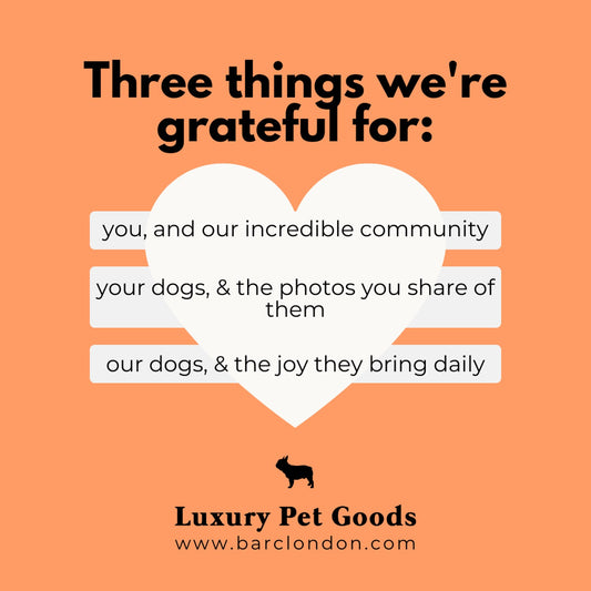 An Open Letter of Appreciation on World Gratitude Day