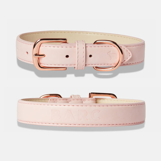 Blush Pink Dog Collar Details, Front and Back View