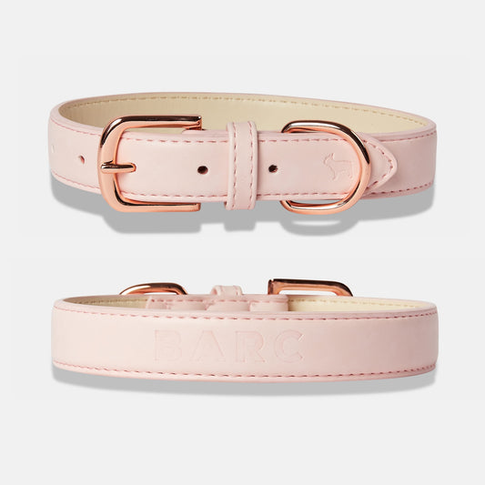 Blush Pink Dog Collar Details, Front and Back View