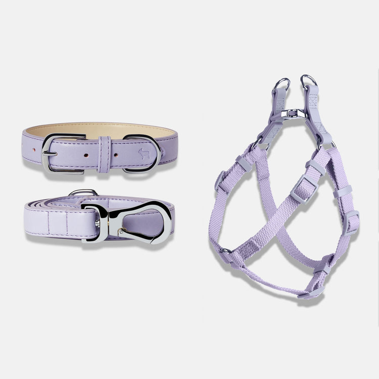 Dog Harness, Collar and Lead Set in Fresh Lilac