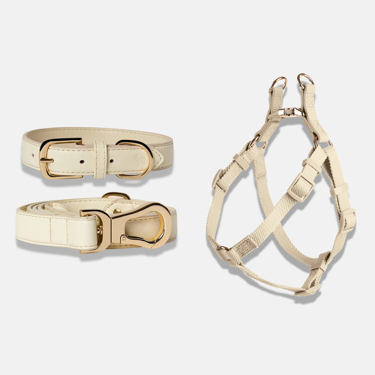 Dog Harness, Collar and Lead Set in Light Ivory