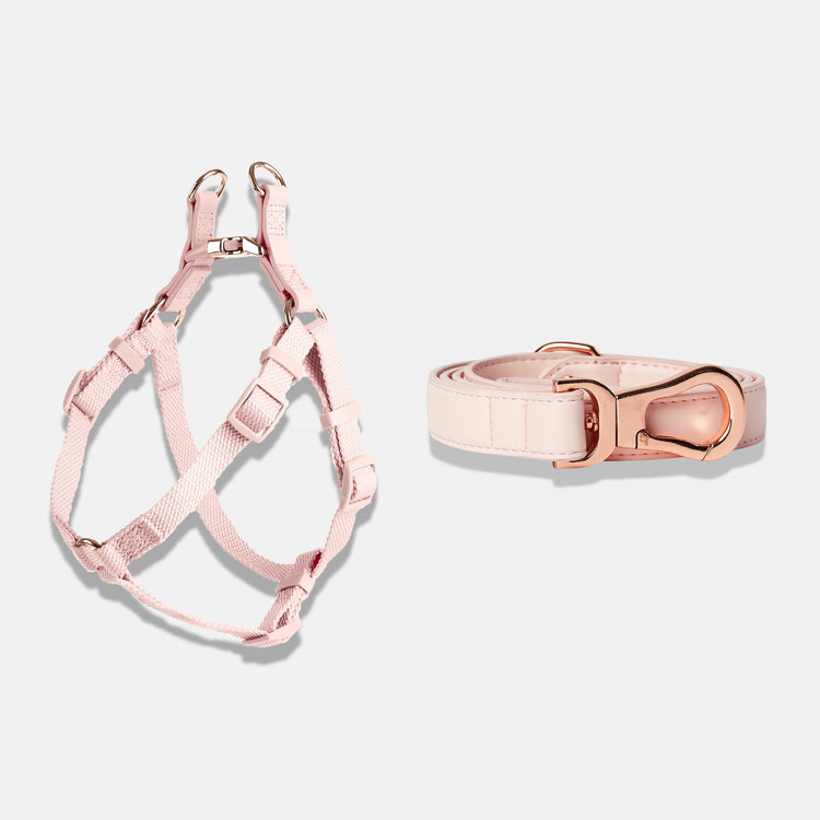 Dog Harness and Lead in Blush Pink