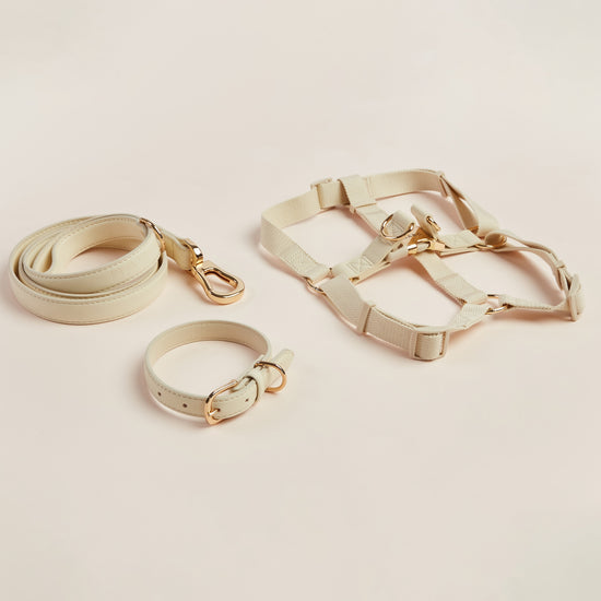 Harness, Collar and Lead Set in Ivory