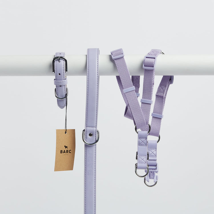 Luxury Purple Dog Collar, Lead and Harness - Designed to Match