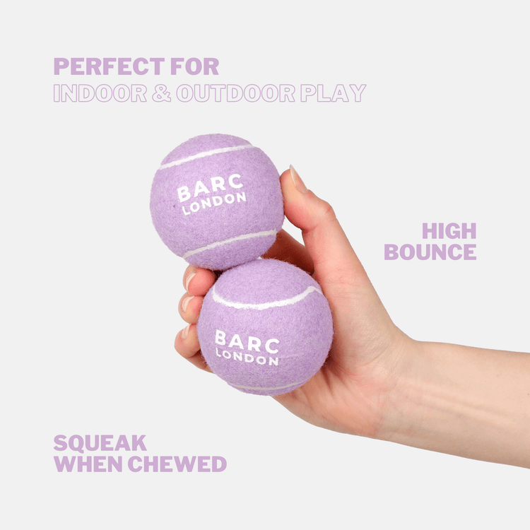 Lilac Dog Ball