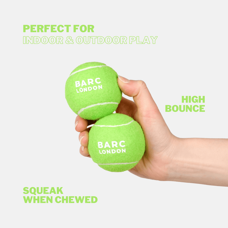 Lime Green Dog Ball