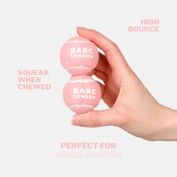 Pink Mini Dog Ball