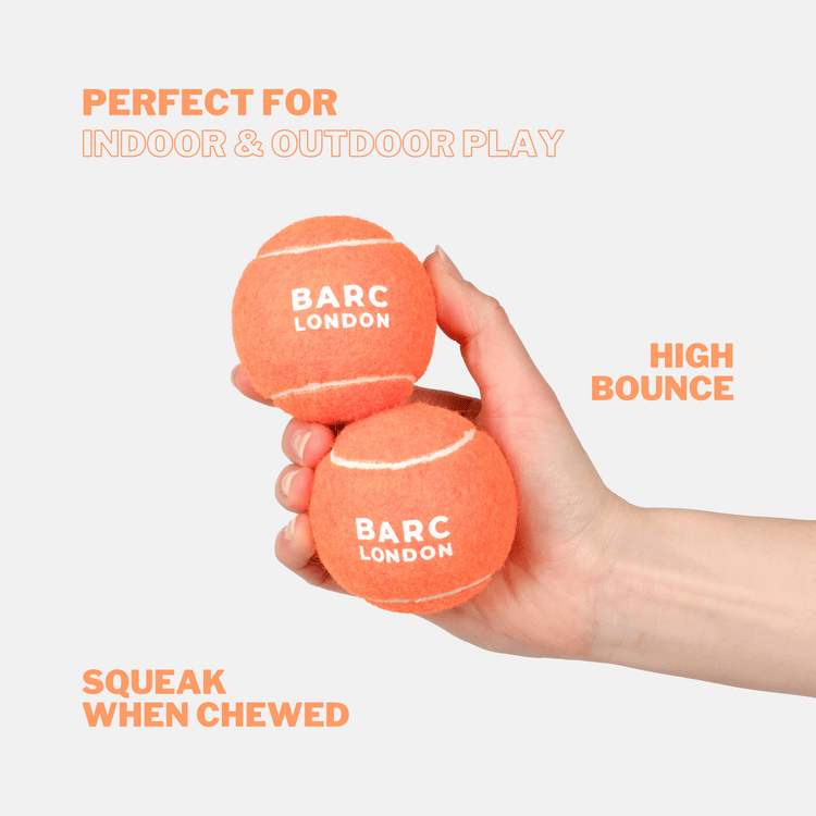 Bright Orange Dog Ball