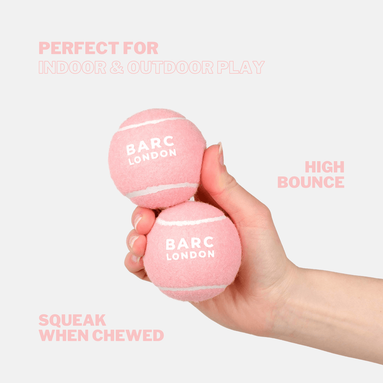 Pink Dog Ball