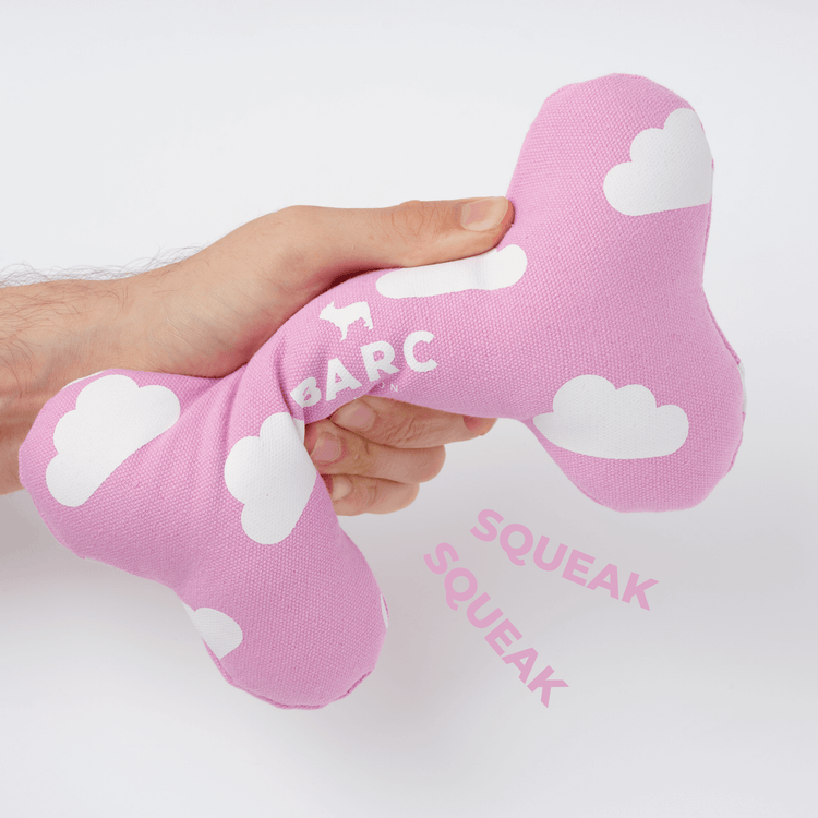 Cloud Squeaky Dog Bone Toy