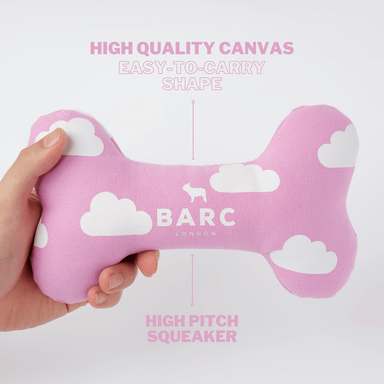 Cloud Squeaky Dog Bone Toy