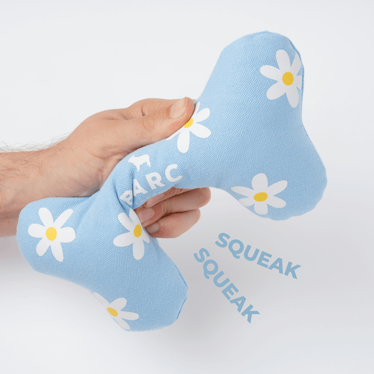 Daisy Squeaky Dog Bone Toy