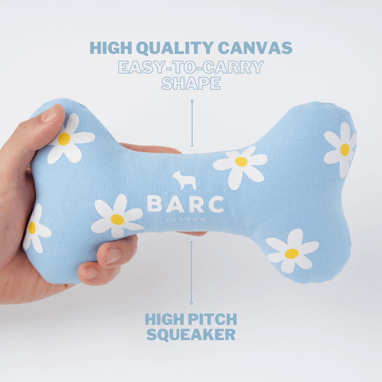 Daisy Squeaky Dog Bone Toy