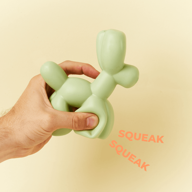 Balloon Squeaky Dog Toy