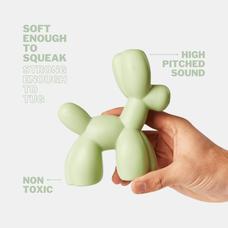Balloon Squeaky Dog Toy