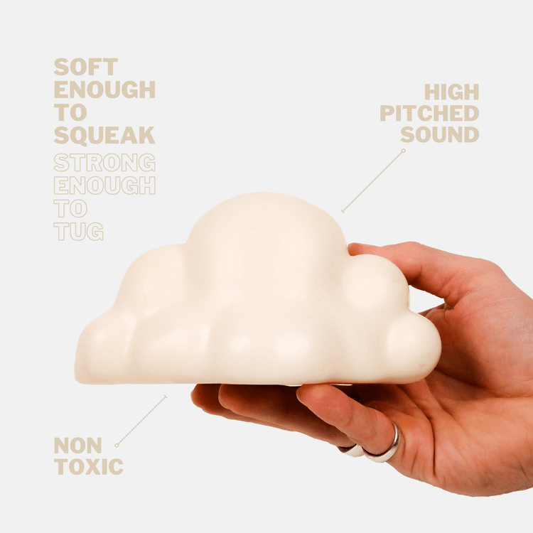 Cloud Squeaky Dog Toy