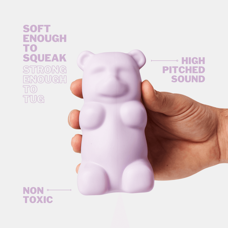 Gummy Squeaky Dog Toy