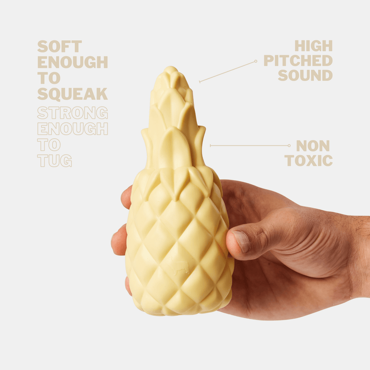 Pineapple Shaped Squeaky Dog Toy