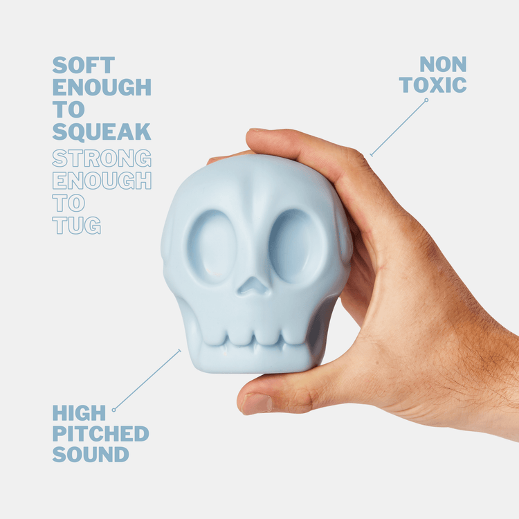 Skully Squeaky Dog Toy