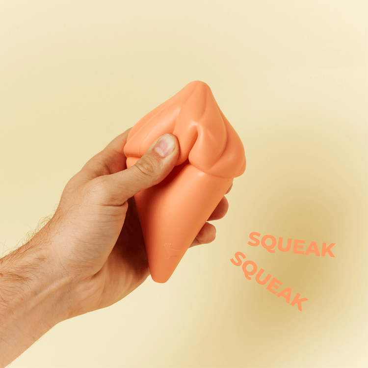 Whippy Squeaky Dog Toy