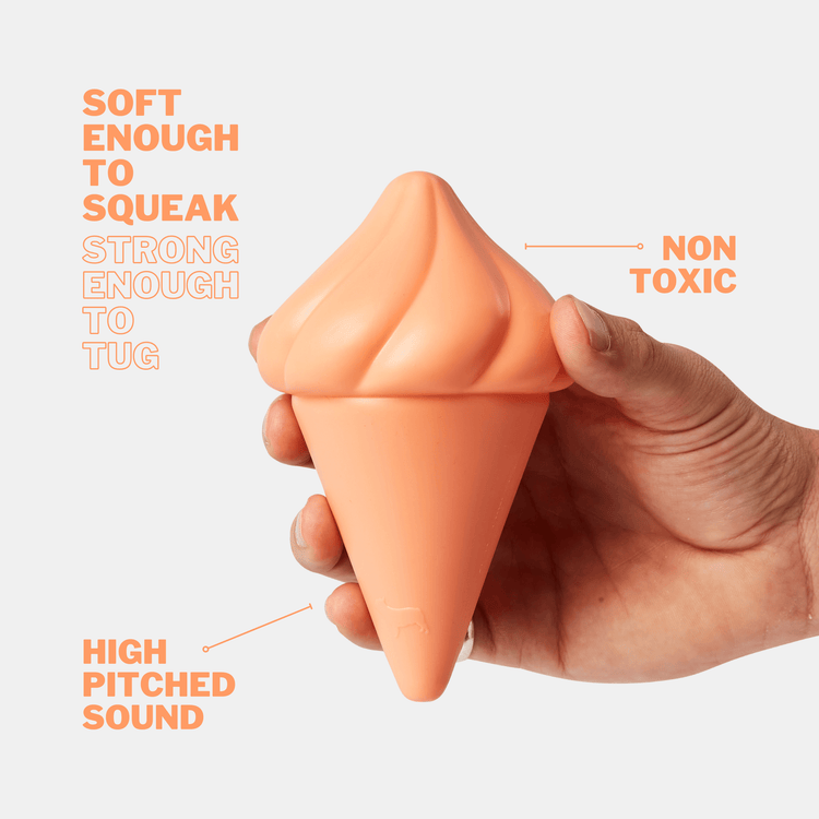 Whippy Squeaky Dog Toy