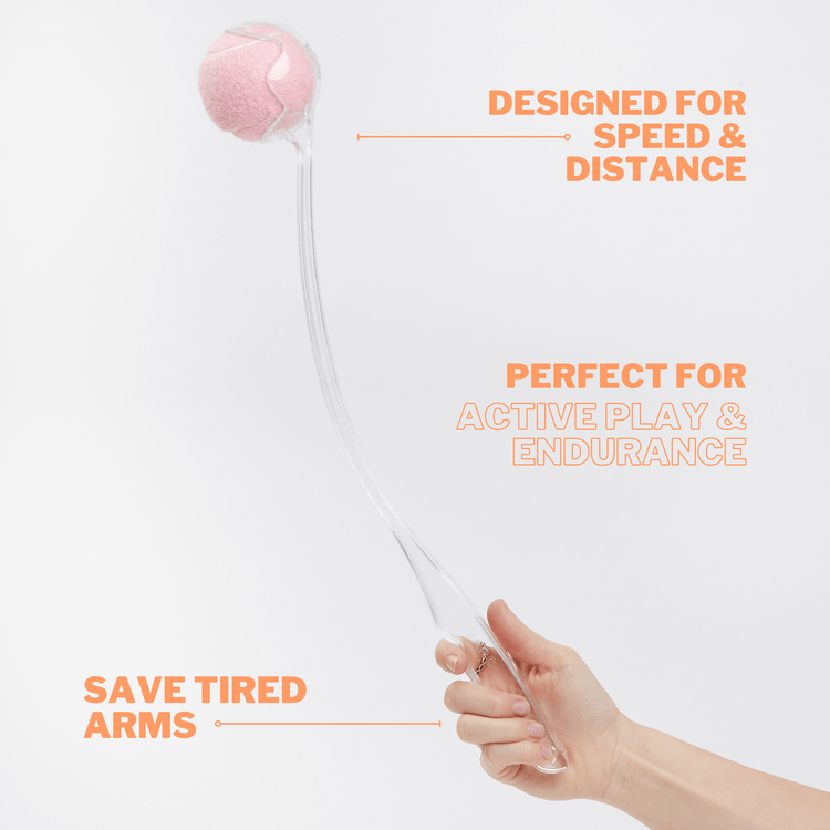 Transparent Dog Ball Thrower