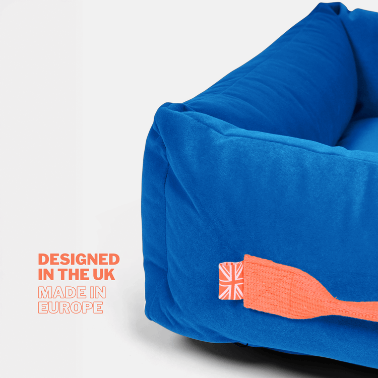 Royal Blue Premium Everyday Bed