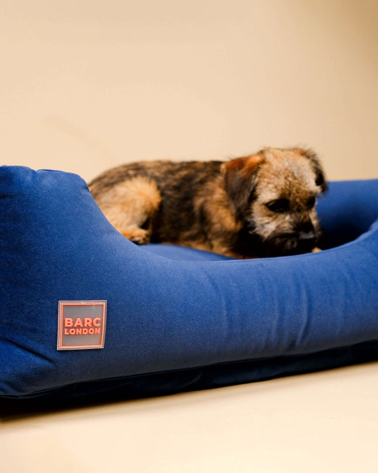 Royal Blue Premium Everyday Bed