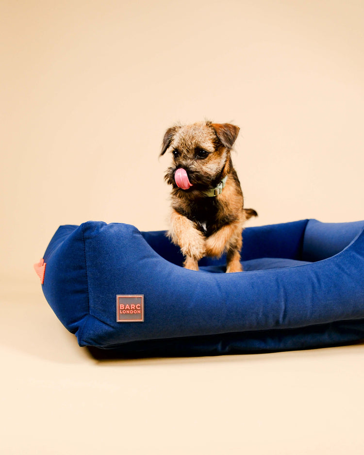 Royal Blue Premium Everyday Bed