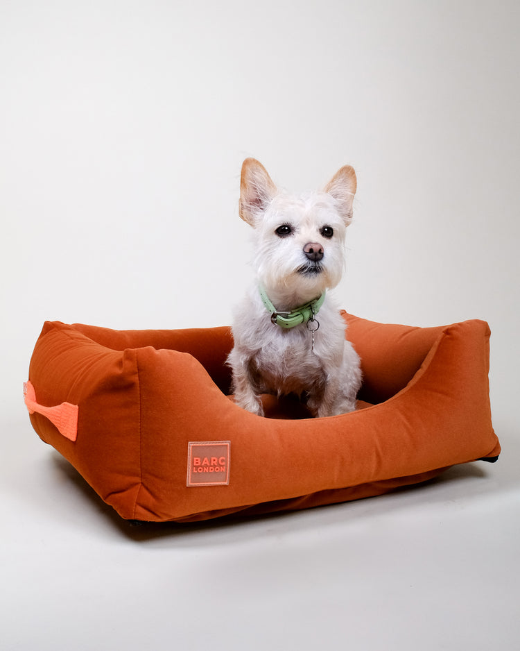 Rust Orange Premium Everyday Bed