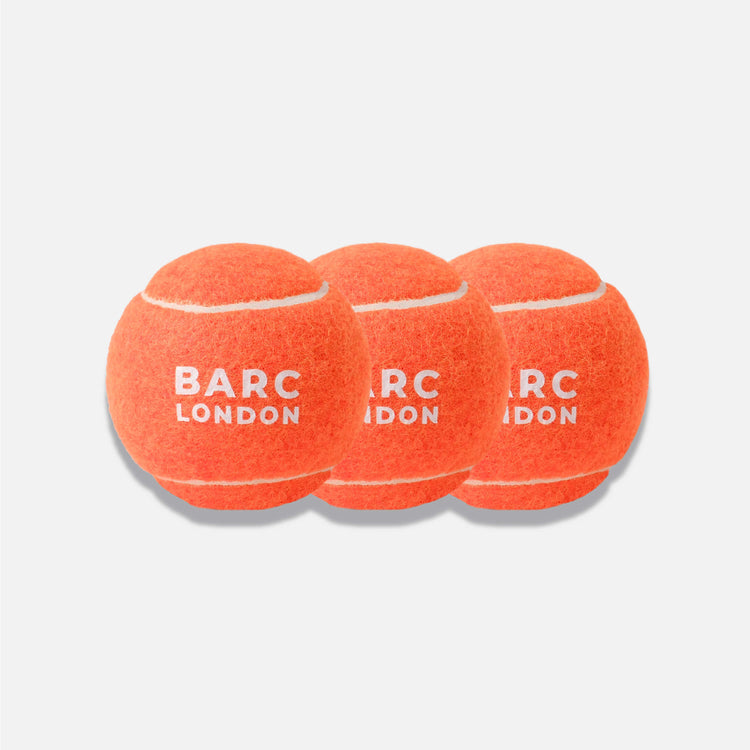 Bright Orange Dog Ball