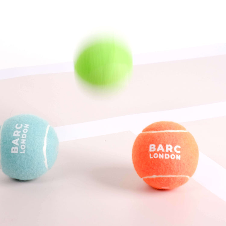 Bright Orange Dog Ball