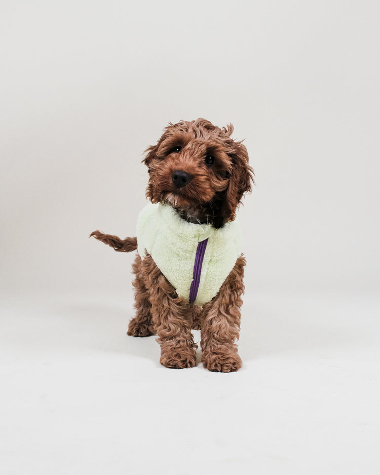 Sherpa Fleece Dog Vest Multipack