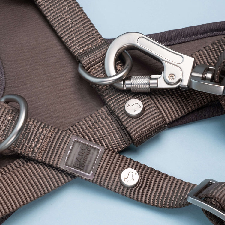 Russet Brown Essential Set