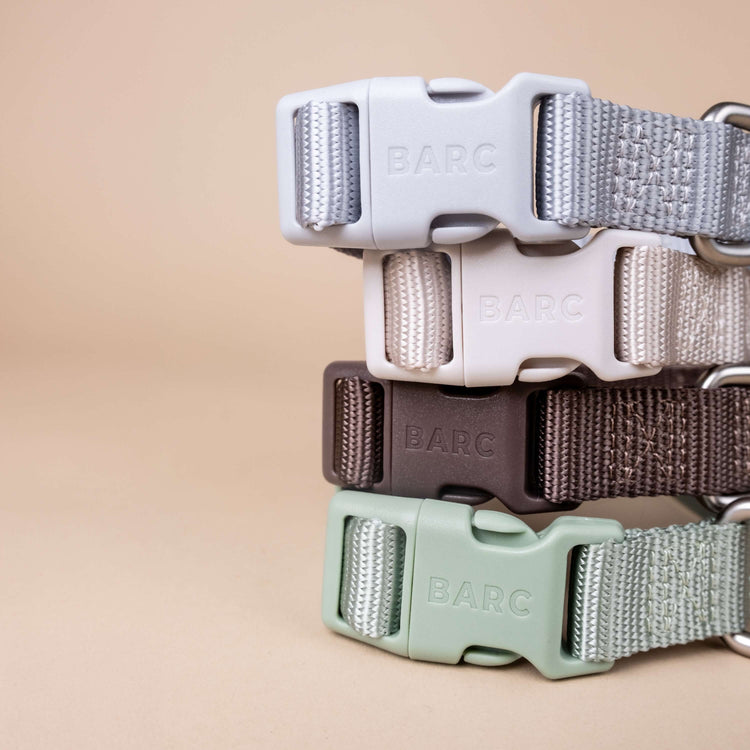 Pistachio Green Essential Dog Collar