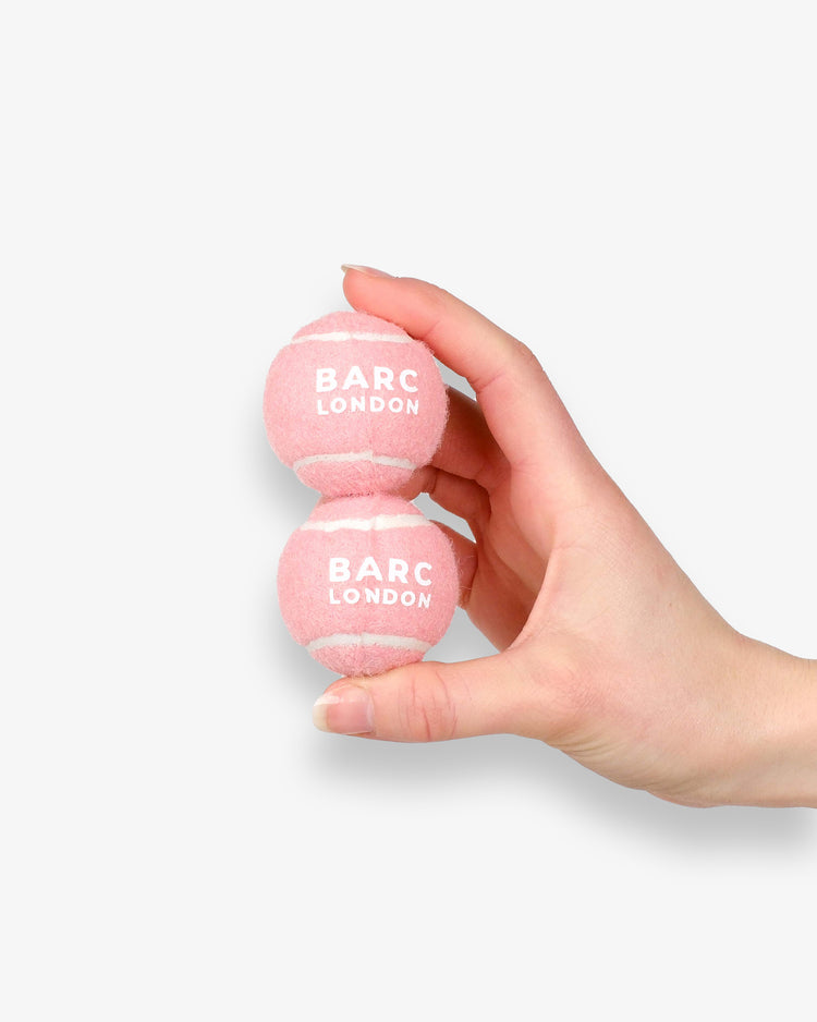 Pink Mini Dog Ball