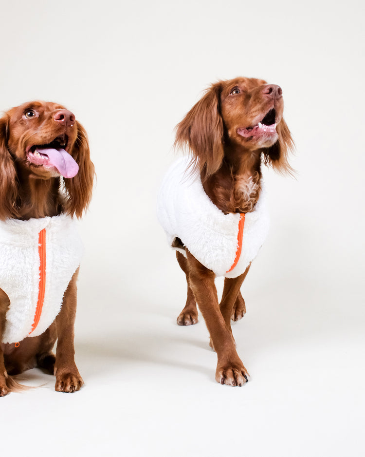 Sherpa Fleece Dog Vest Multipack