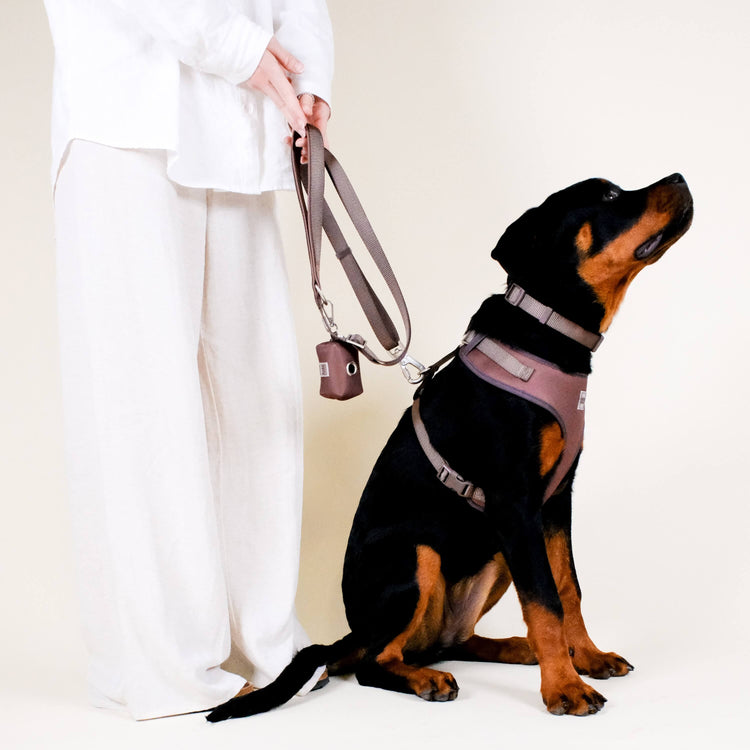 Russet Brown Essential Waste Bag Holder