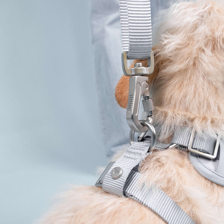 Frosted Blue Essential Set