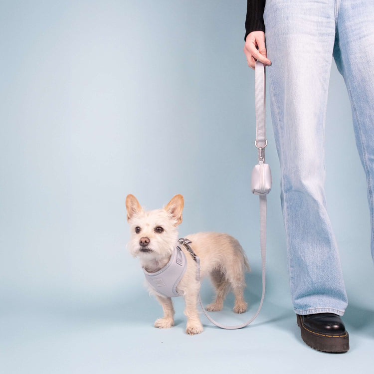 Frosted Blue Essential Set