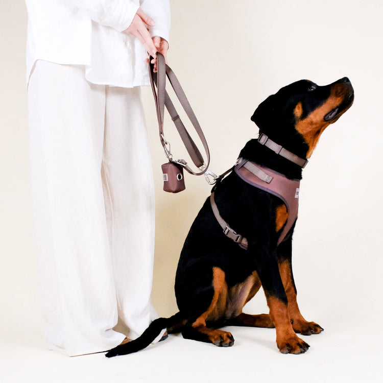 Russet Brown Essential Set