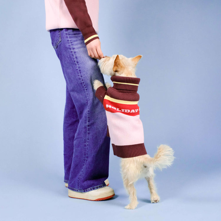 Holiday Club Knitted Dog Jumper, Pink