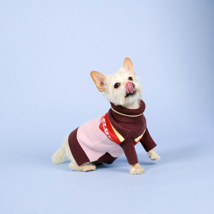 Holiday Club Knitted Dog Jumper, Pink