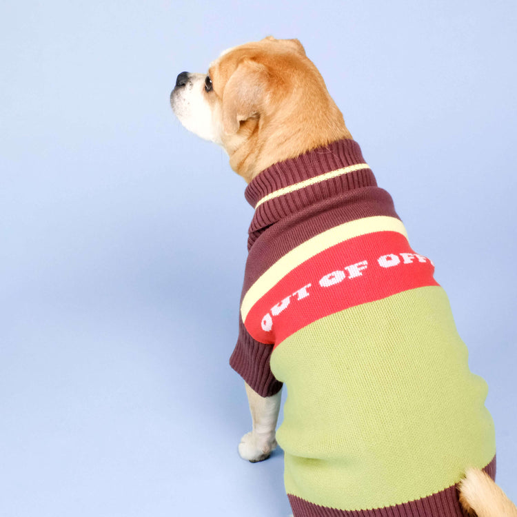 Out Of Office Knitted Dog Jumper