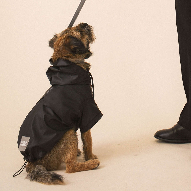 Black Dog Raincoat