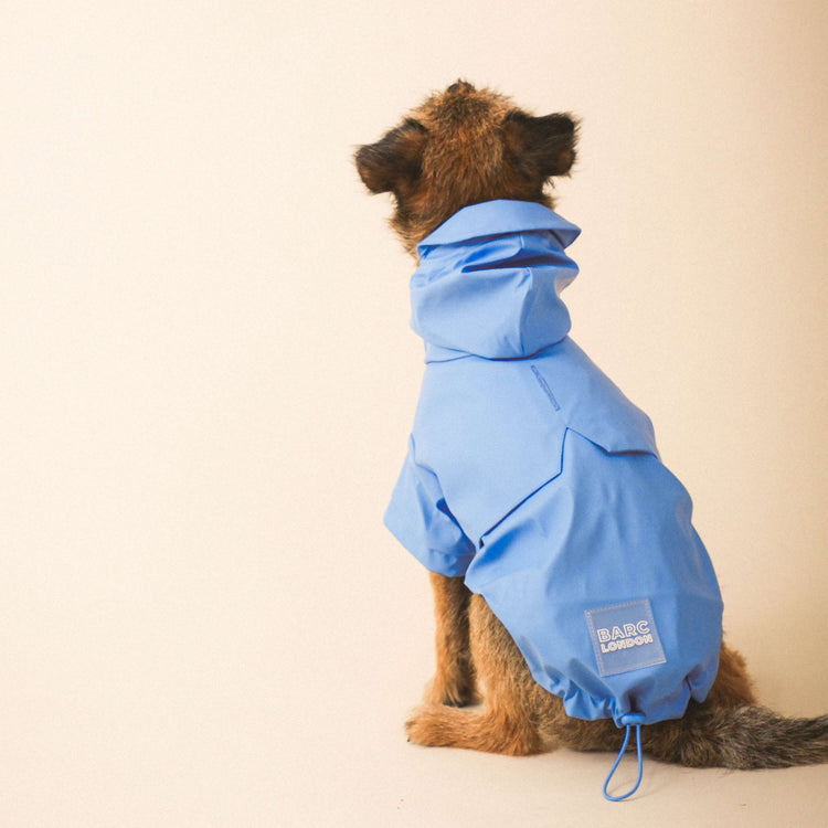 Blue Dog Raincoat
