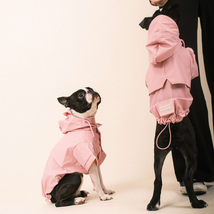 Pink Dog Raincoat